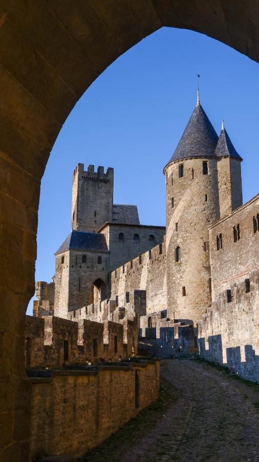 Ibis Carcassonne Est La Cite Hotel Bagian luar foto